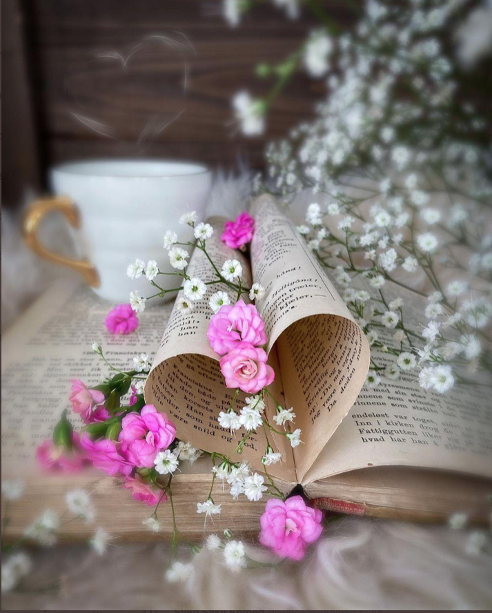 PayItFo72555724's tweet image. Read a book,
sip some tea.
Create art,
climb a tree.
Seek adventure,
on land and sea.
Stay young at heart,
be wild and free. 
#readabook #siptea #createart #climbatree #seekadventure #landandsea #youngatheart #bewild #befree #payitforward