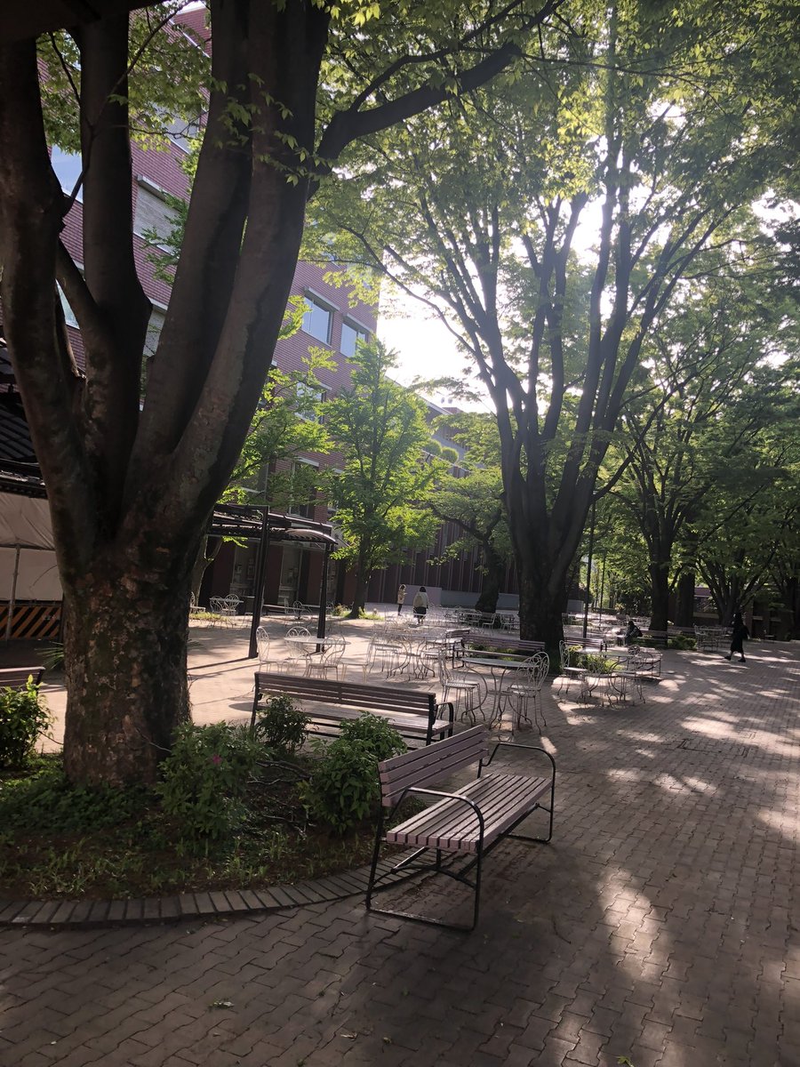 gakuseikichi's tweet image. #ガクセイ基地のつぶやき 

「所属大学の良いところ」最終回の担当はあずなです🌸

良いところがたくさんあり過ぎて書ききれませんが、、

国際的な視点を学びつつ日本や日本文化に詳しくなれるところ。

居心地が良いところ。

あとは画像で！

#春から学女　#春からgwc #春から大学生