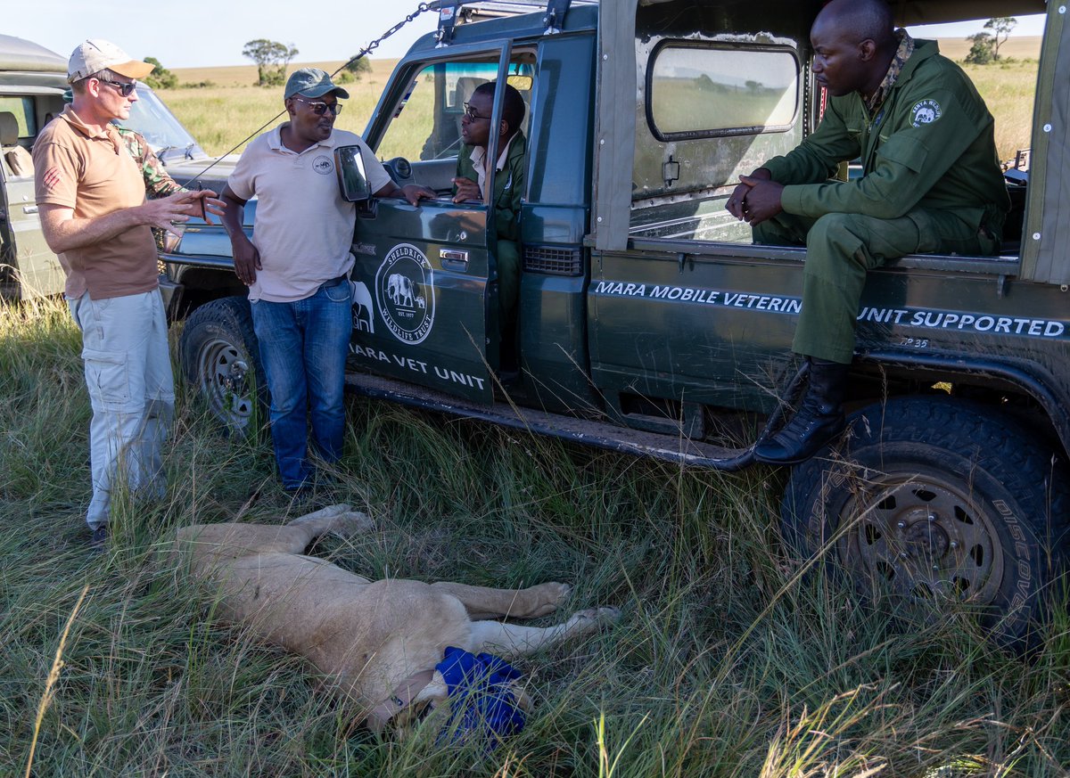 KenyaWildTrust tweet picture