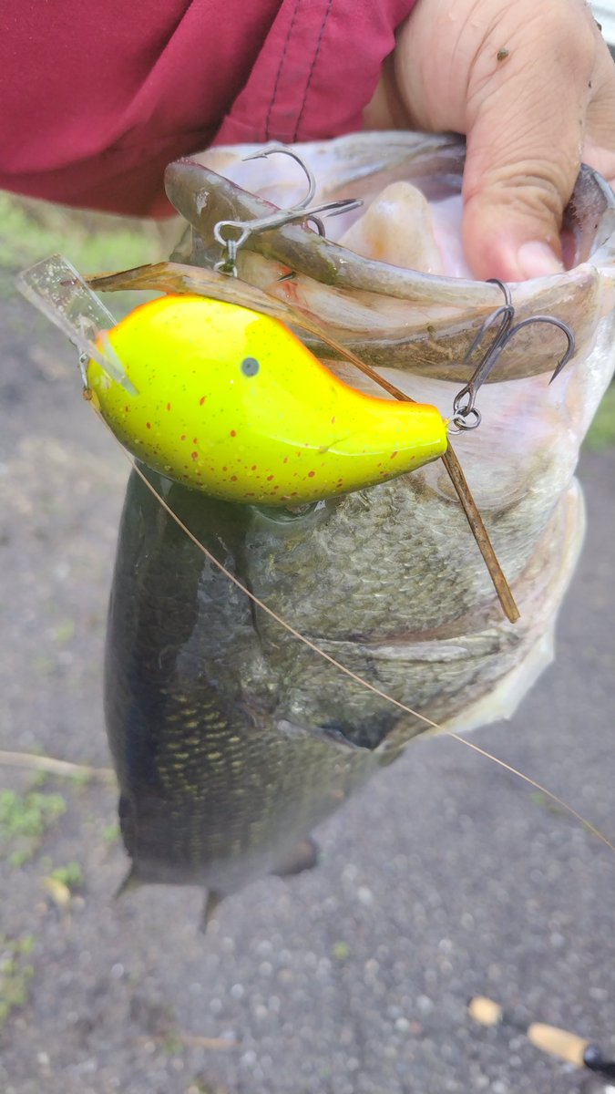 最終値下げ　MPB クランクベイト 4つ　美品　ワイルドボア　バイソン　120 MPB LURES バイソン120