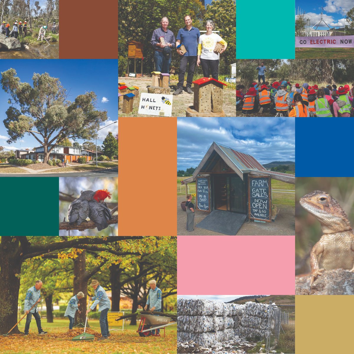 Explore a range of stories showcasing the inspiring work of community organisations that are improving environmental and sustainability outcomes in the ACT. actsoe2023.com.au/stories/
