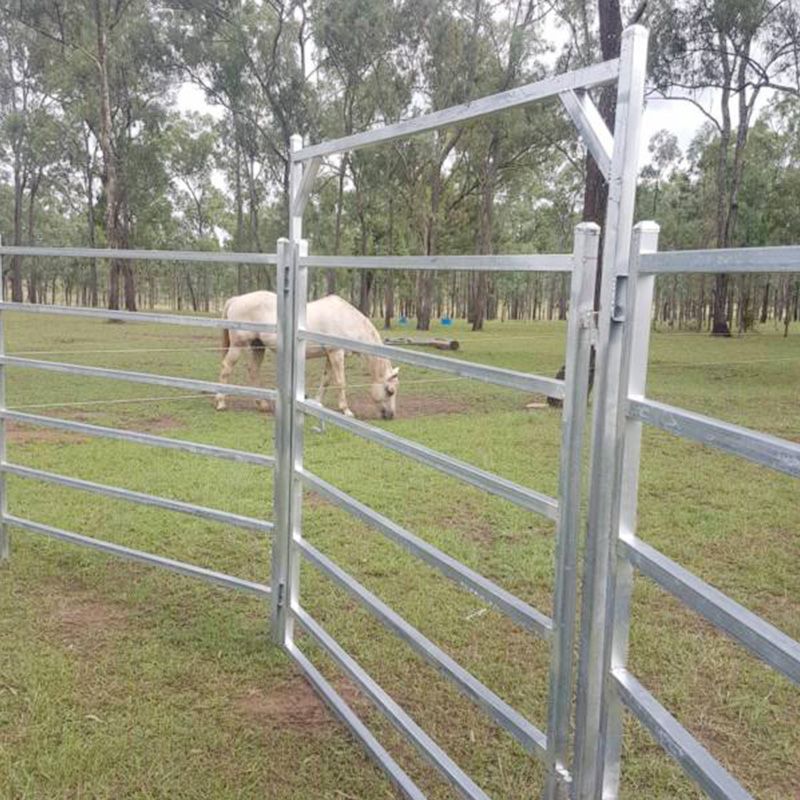 RongtaiWireMesh's tweet image. Cattle fence is made of square, oval or round tube, it is mainly used as portable or permanent fencing. The fence panels are offered in a variety of heights, lengths, and number of rails . The fence panels are appealing, safe, easy to install. #WireMesh
#MetalMesh
#MeshWorks