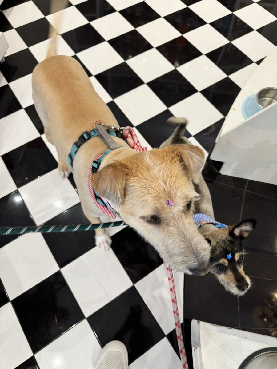 diegogs25's tweet image. ♥️