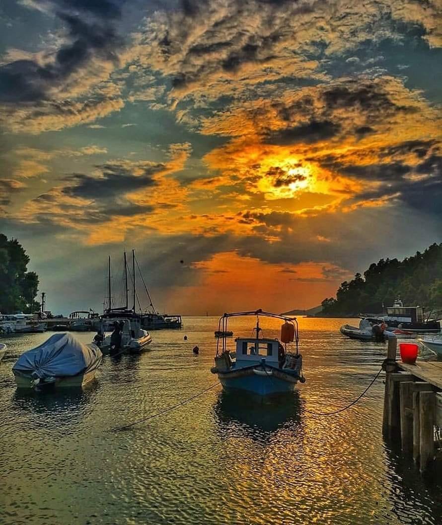 ❊❊🤍❊❊
Beautiful

#ⁿᵃᵗᵘʳᵉˡᵒᵛᵉʳ #ⁿᵃᵗᵘʳᵉ #ᶠˡᵒʷᵉʳ #ˡᵒᵛᵉ 🧡💛❤️💚💙💜🧡💛❤️💚💙💜

📷

↴
Skopelos island, Sporades, Greece🇬🇷
