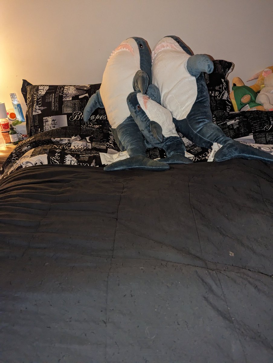 Princess__Fiona's tweet image. Day 85 of #100DaysOfHappy 

Re-did my bed. Bought a new mattress topper and pillows. Fluffed the duvet and put on new sheets. It's like a warm cloud now 😍

And the Sharkies have taken it over! 

#Gratitude #Thankful #Cozy #HyggeHome #Sleep