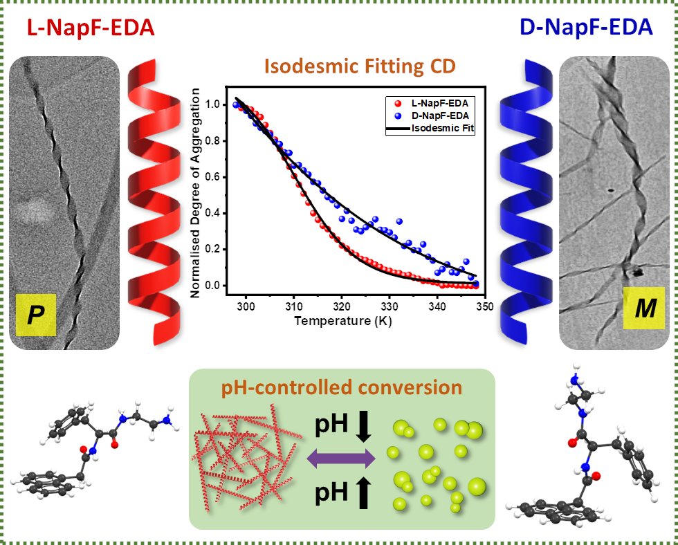 Check out our recent research, just accepted in @softmatter, reports the pathway diversity in the self-assembly of enantiomeric single phenylalanine derived amphiphiles. Link: doi.org/10.1039/D4SM00…