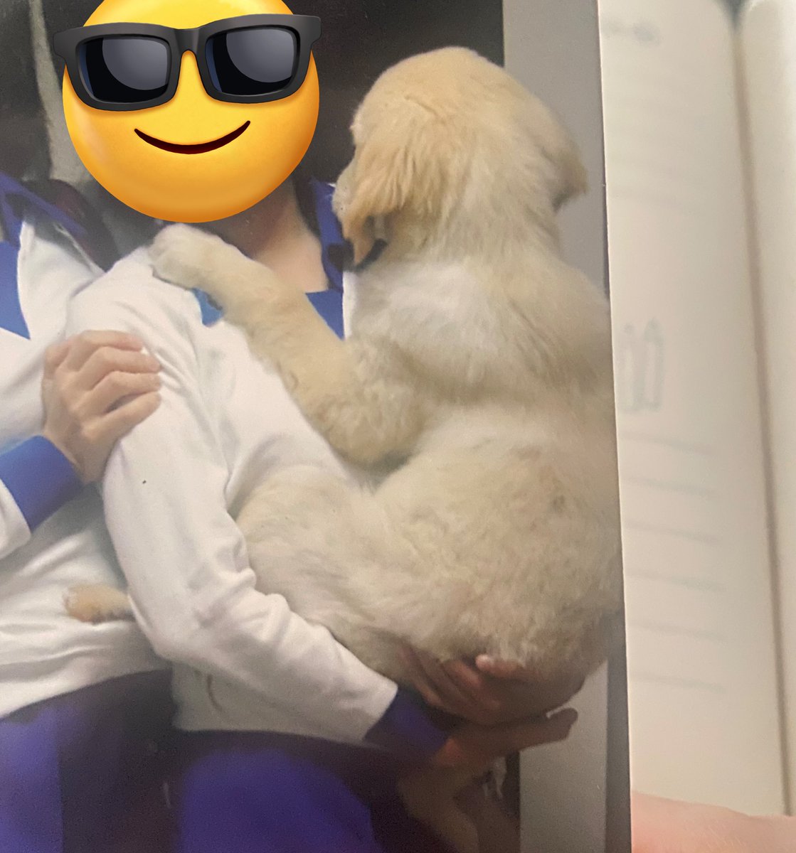 アルバム見返してたら11年前(ココ3歳)の時の写真と家に来てまだ数ヶ月の写真がでてきた🥰💛
昔も今もほんと可愛いな〜😭🩷
当時の写真がホント少なくてもっと写真撮って置くべきだったと後悔😭パピー期はあっという間ですぐ大きくなった🤣