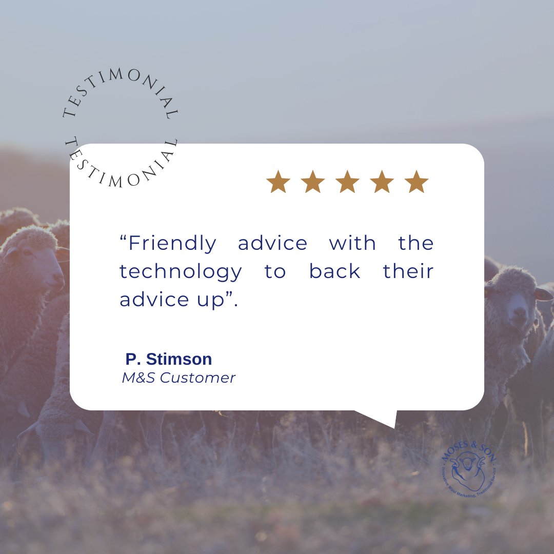 We may be over 100 years old, but we're tech-savvy! 💻 From streamlining operations to gathering quality data for informed decisions, we leverage technology to benefit our clients. Shoutout to P. Stimson for this awesome testimonial! 🌟