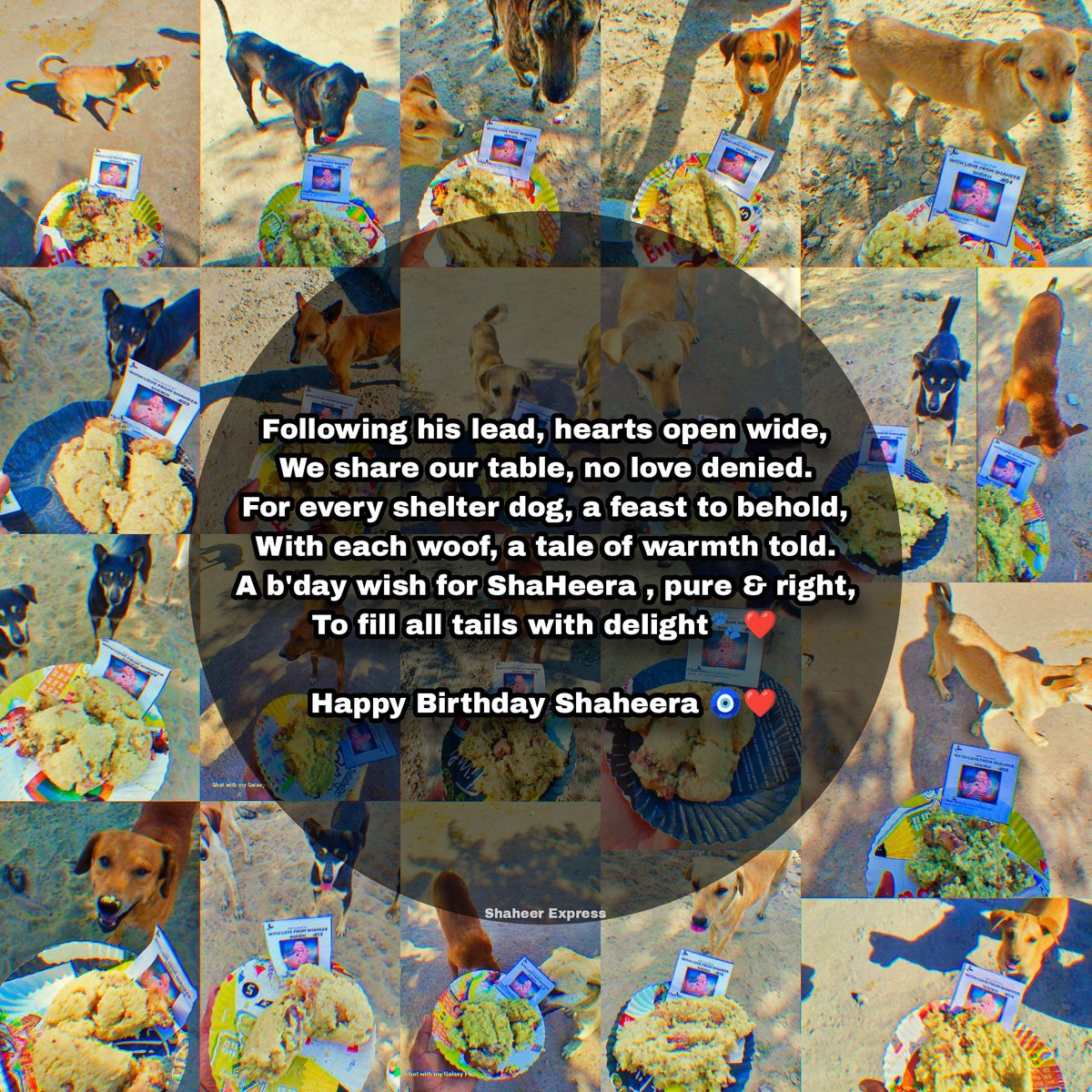 ShaheerExpress's tweet photo. Following his lead, hearts open wide,
We share our table, no love denied.
For every shelter dog, a feast to behold,
With each woof, a tale of warmth told.
A b'day wish for @Shaheer_S, pure &amp; right,
To fill all tails with delight🐾❤️
+
#HappyBirthdayShaheer #ShaheerSheikh https://t.co/wc9qr3V9LE