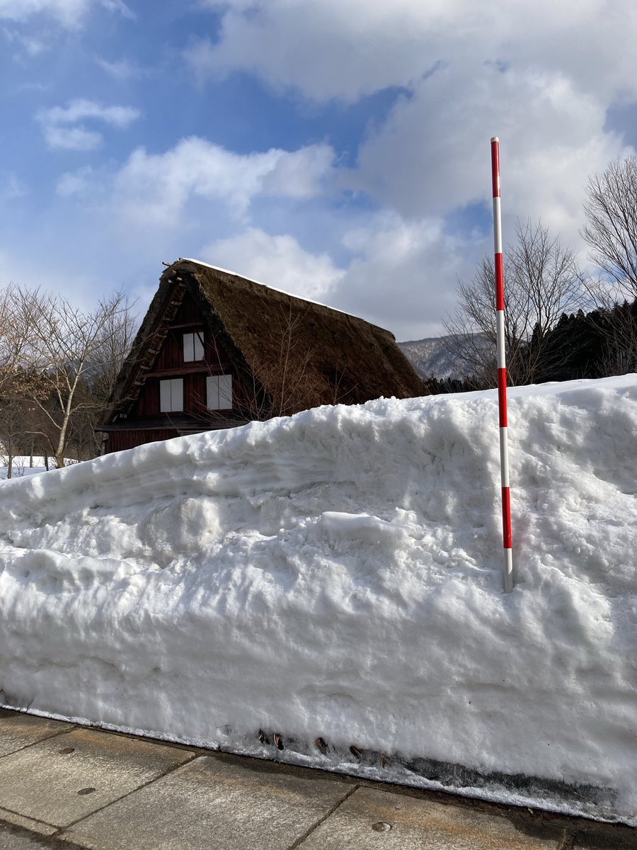 hidanichi's tweet photo. 村内でも高い標高にある白川村馬狩地区。久しぶりに訪れると、雪が少なかった今年でも背丈を優に越すほどの積雪が残っていました…！なんだか巨大迷路にいるかのような気分⛄️
#白川郷 https://t.co/vXuZh58xIB