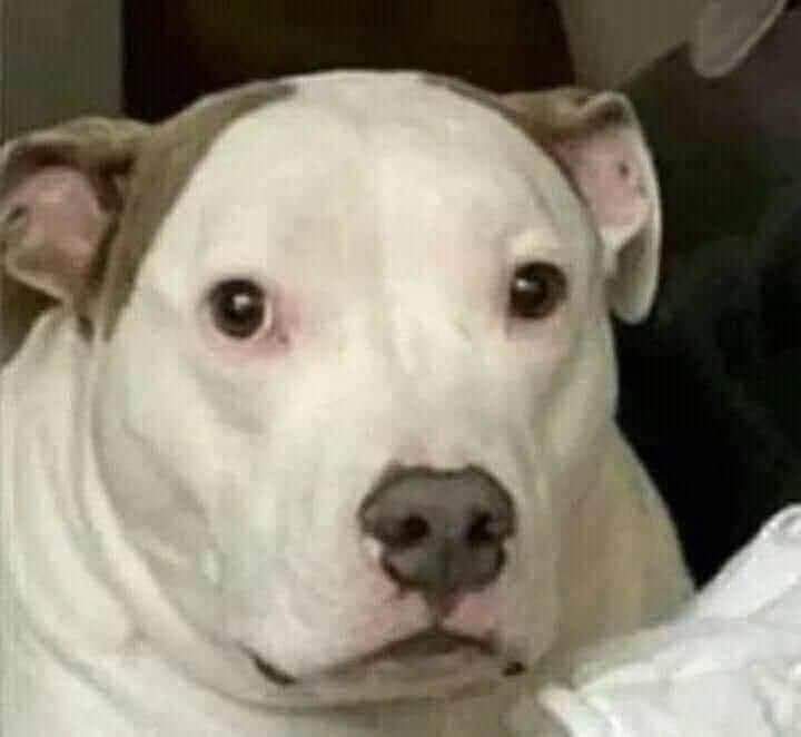 Ya llegué muy lejos, ya no hay vuelta atrás