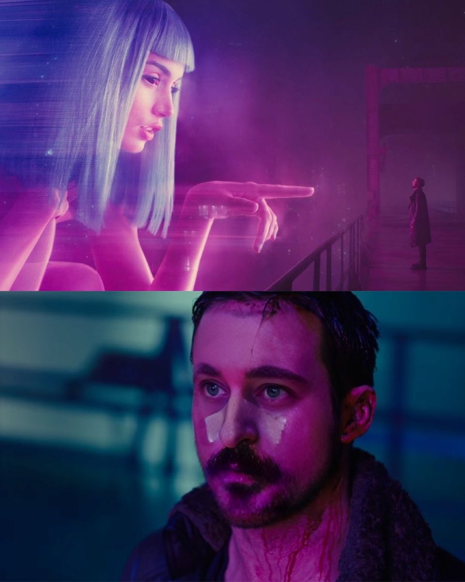 xBREZKI's tweet photo. Seems legit 
#bladerunner https://t.co/CWdz9eORlQ