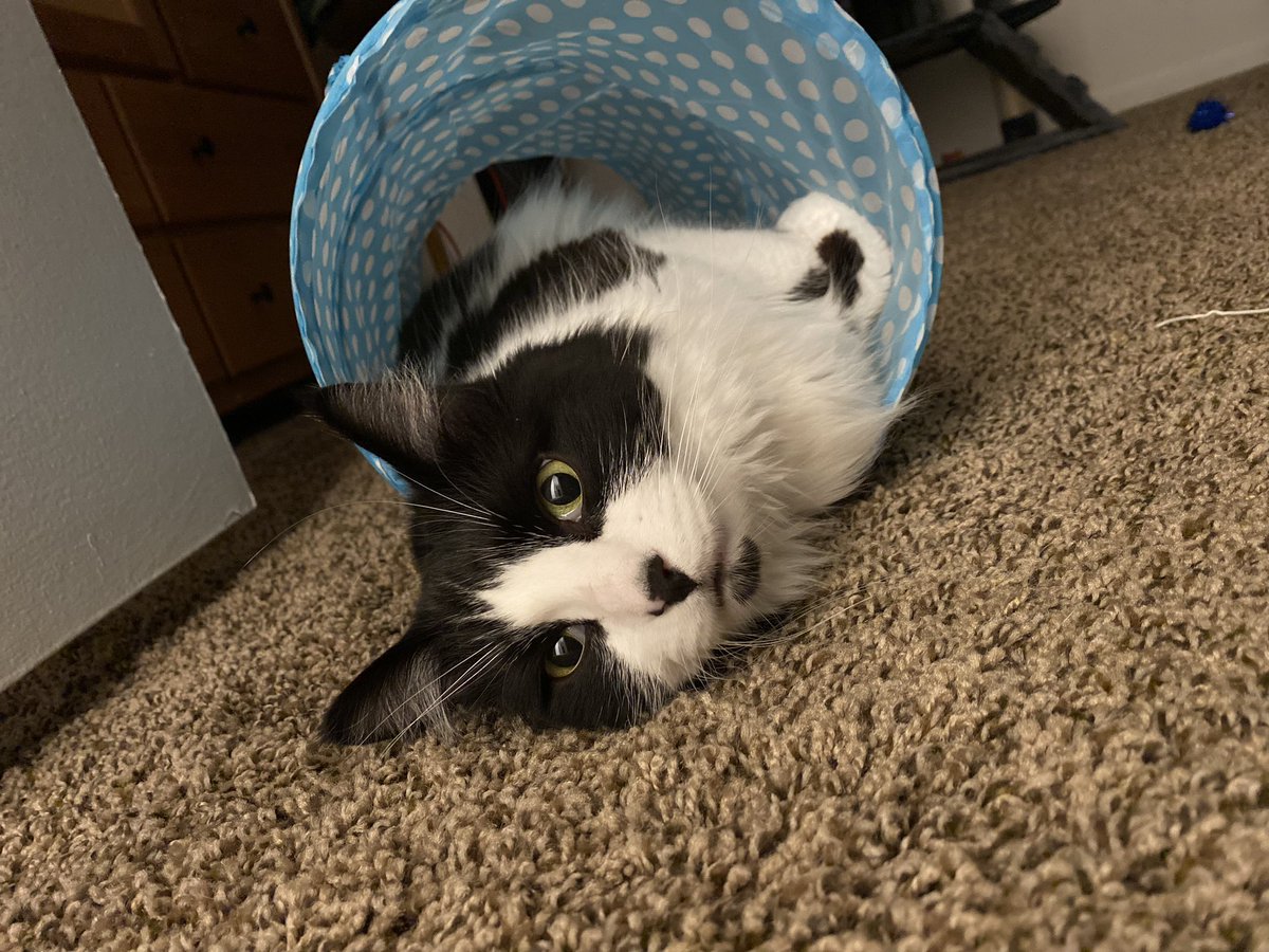 Kelsey (@wet_blankets) on Twitter photo 