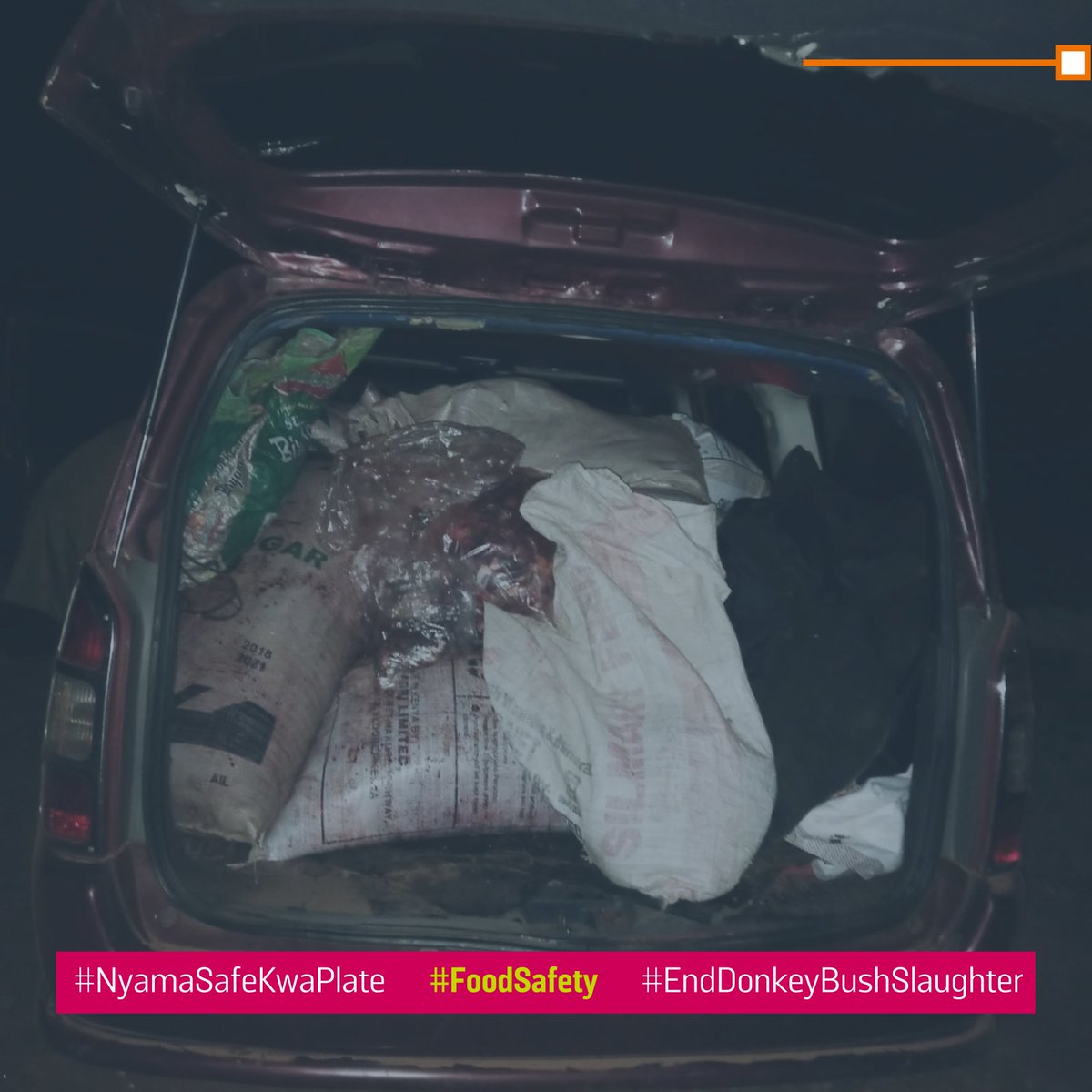 2/3 🛑During transportation, this meat is often handled carelessly, thrown into dirty vehicle boots, bags, etc. This negligence puts us all at risk, with beef entering the market without inspection. Be sure of what you eat this Easter; ensure it is #NyamaSafeKwaPlate