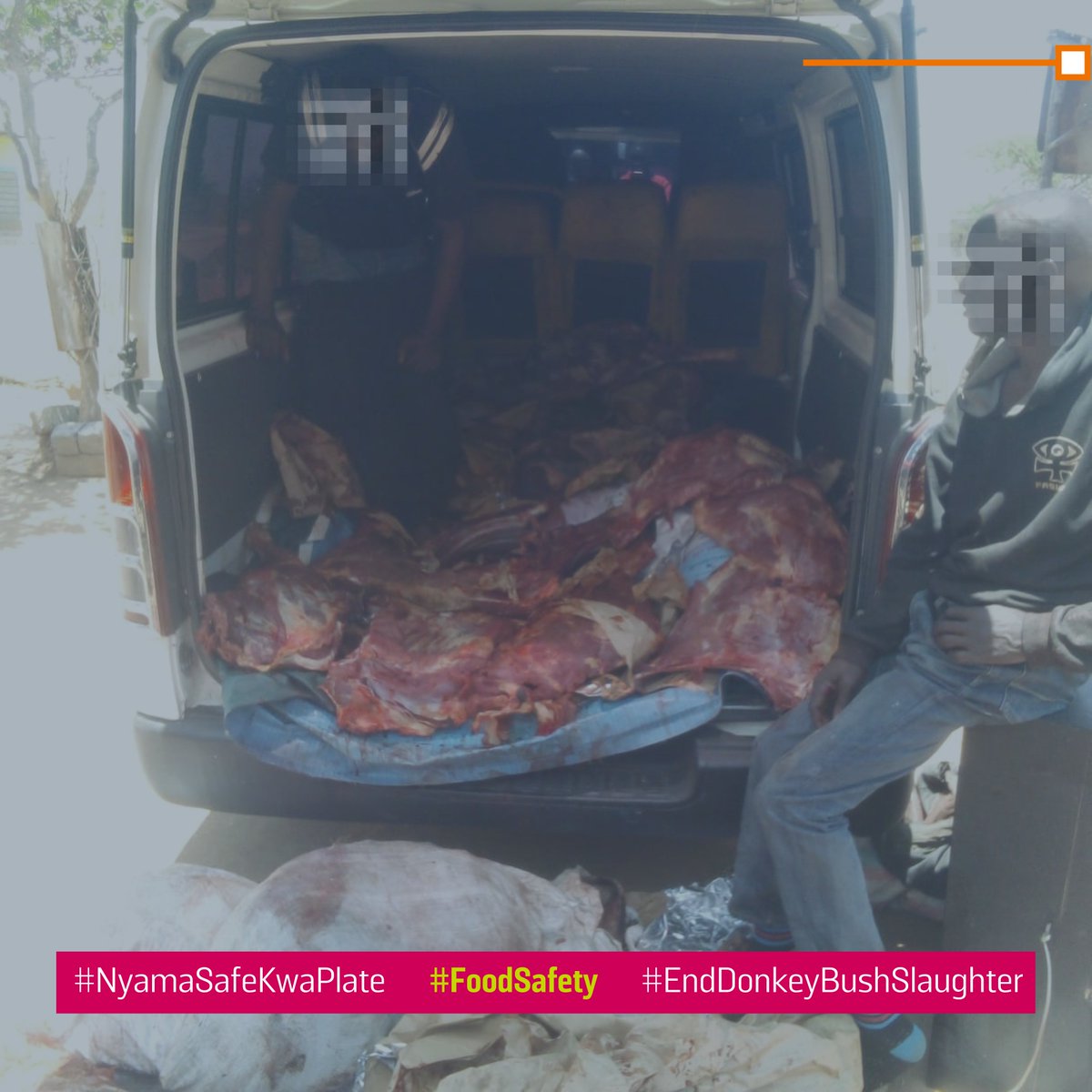 3/3 Let's prioritize our health and safety. Choose wisely when purchasing meat and avoid the dangers of illegally sourced donkey bush slaughter meat. Together, we can protect ourselves and our communities. Stay safe! 🧡 #NyamaSafeKwaPlate #FoodSafety #EndDonkeyBushSlaughter