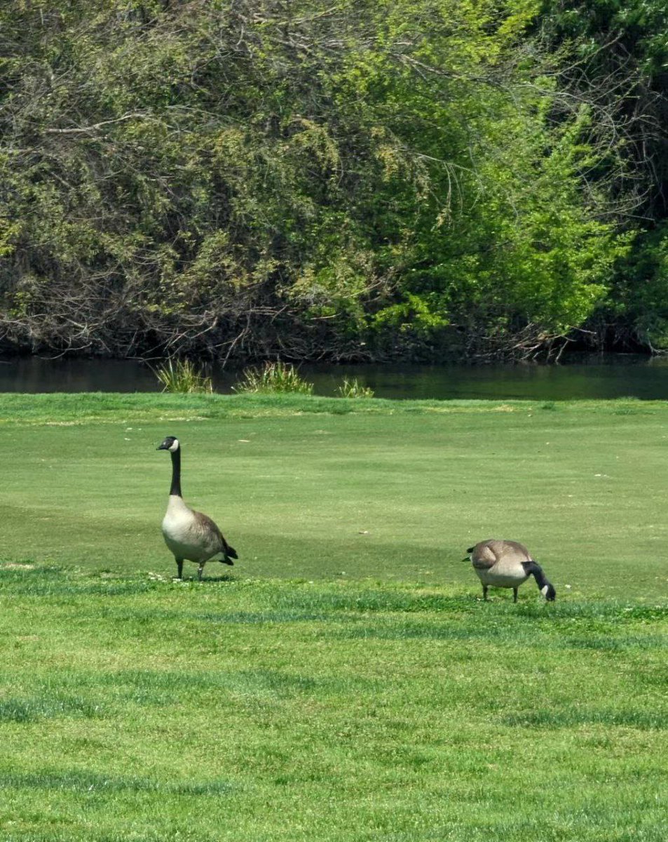 Golf is a great way to get rid of jet lag