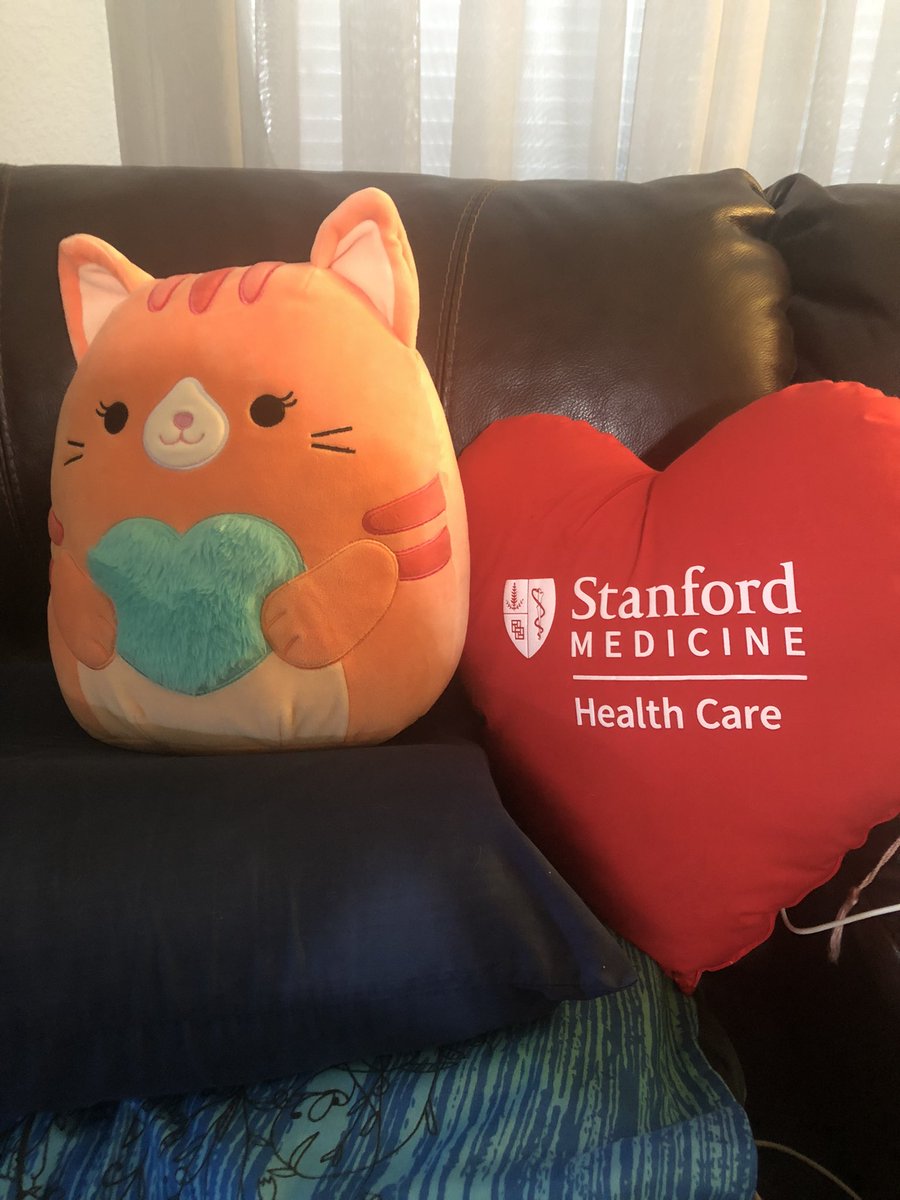 My souvenir heart pillow from@Stanford &  the other pillow Nat got  me when he picked up my meds the evening before we drove home. Now to find a name for the cutie pie.
#stanford , #heartpillow