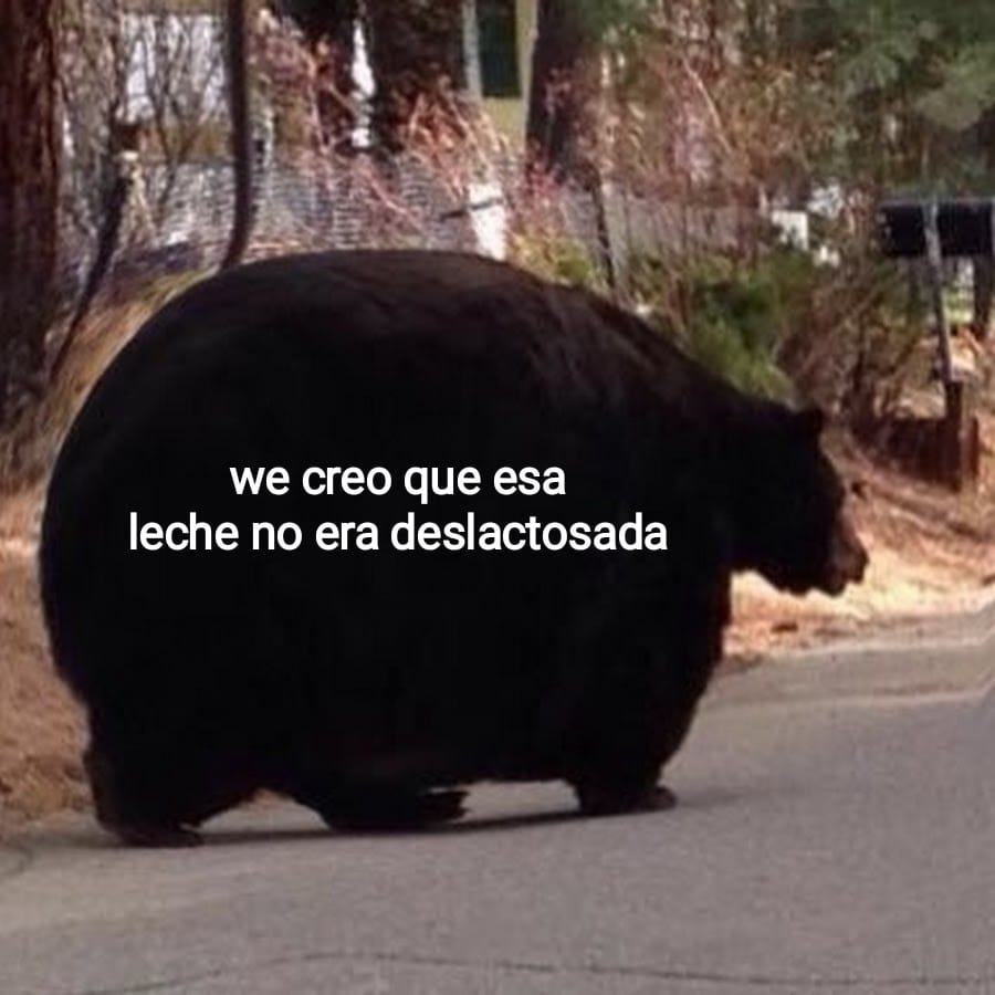 SoyFedelobo's tweet photo. si soy https://t.co/9cEDC007Bb