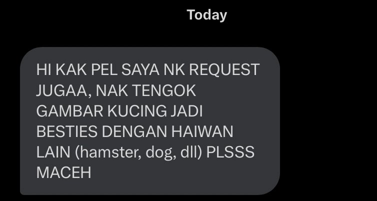 pelisahh's tweet photo. haluuu ada ke kucen kat sini yang besties dengan haiwan lain macam si oyen zoo negara tu? https://t.co/p4qwYFX1Zu