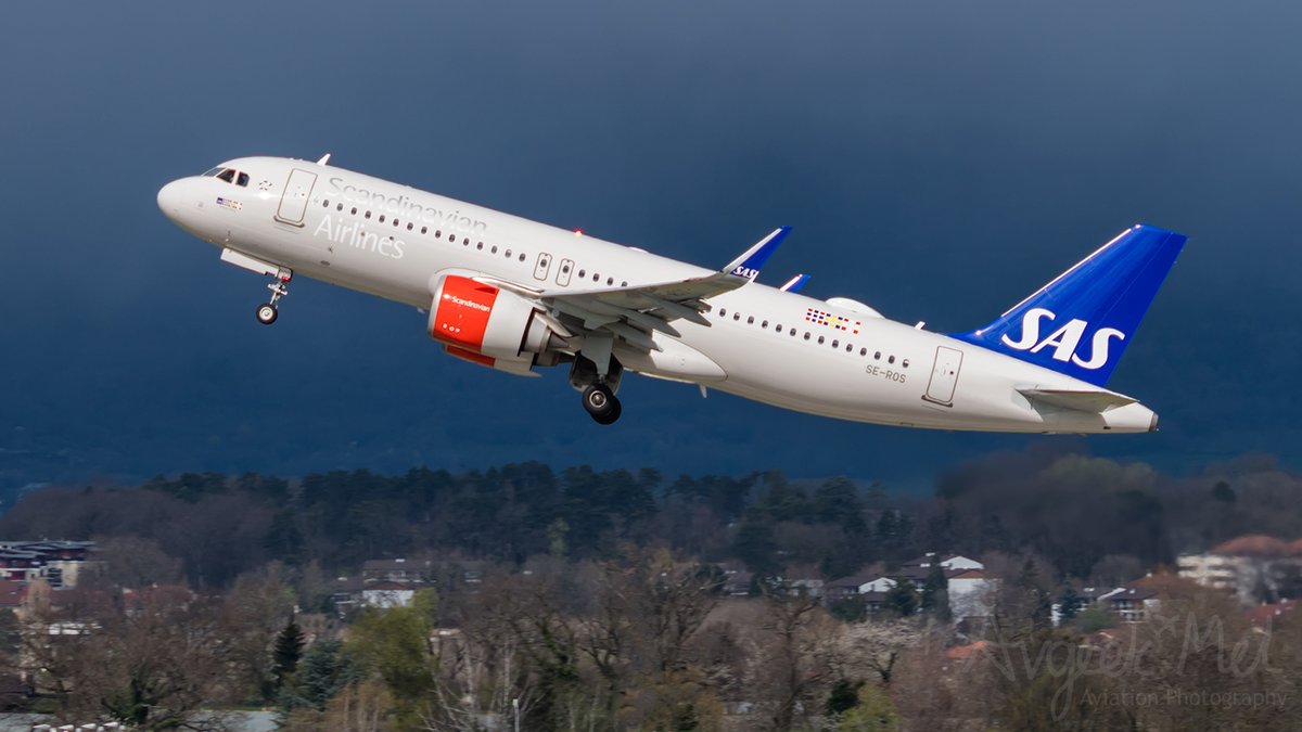 A @SAS @Airbus A320-251N SE-ROS departing from @GeneveAeroport 24.03.24 #avgeek #planespotting #flysas #a320neo