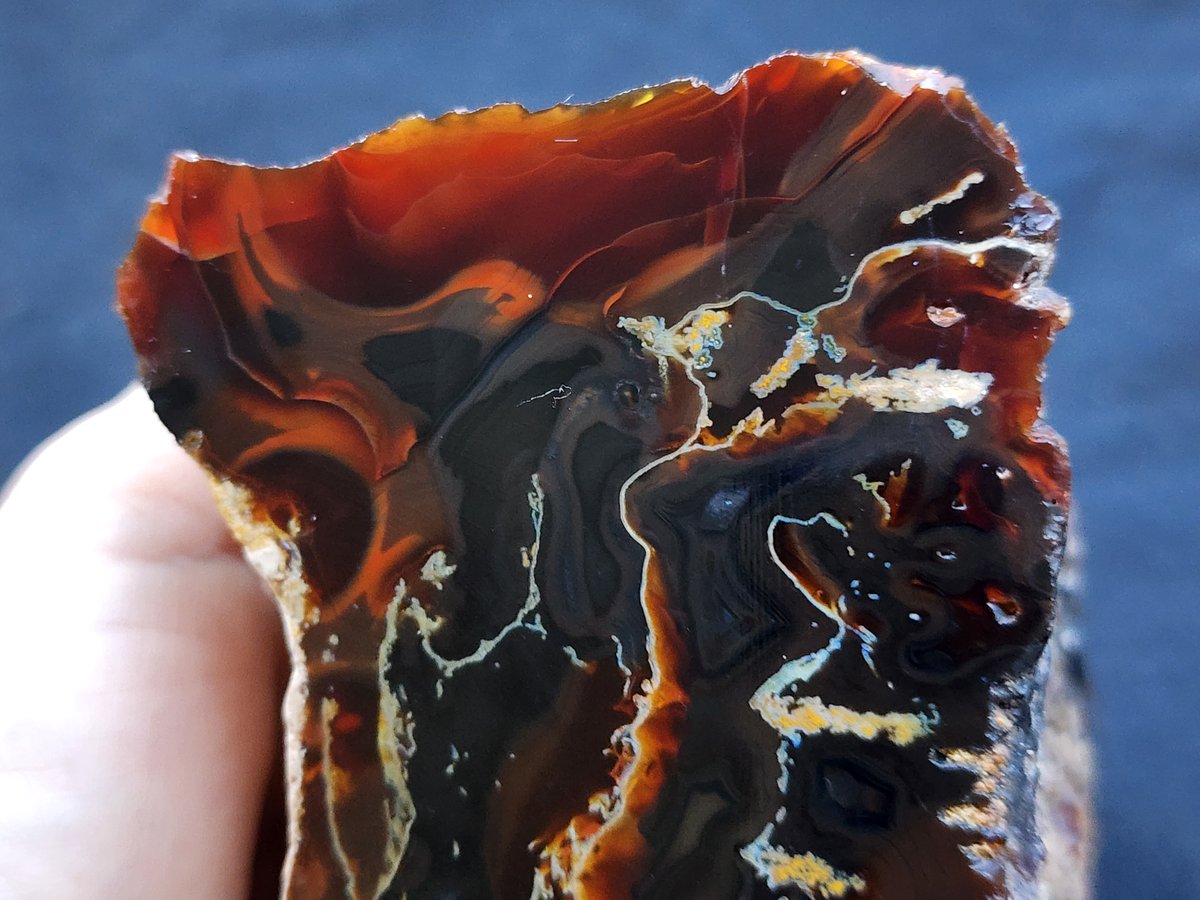 Dark Red Agate Slab
#Opal #carnelian #agate #agata #achate #agatecollector #lapidary #lapidaryart #Collectibles #rockhounds #Gemstone #gemstones #geologyrock #rocks #petrology #mineralspecimen