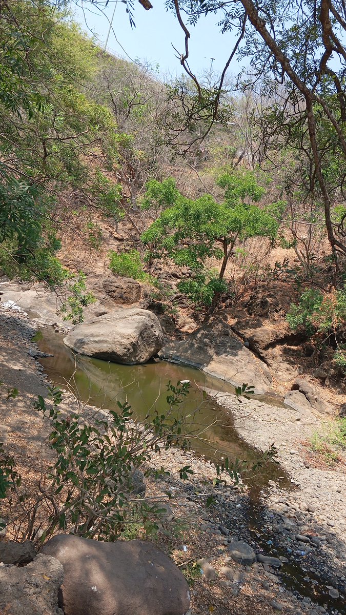 otoniel_ely's tweet photo. Buenas noches, quiero informar que el Río chilama, se está secando debido a que las personas incoherentes están reteniendo el agua , para regar sus cultivos y tan bien se dice que en la montaña acuática el balneario , lo están abasteciendo con esta misma agua, nos están quitando https://t.co/Qq7Tbpqfts