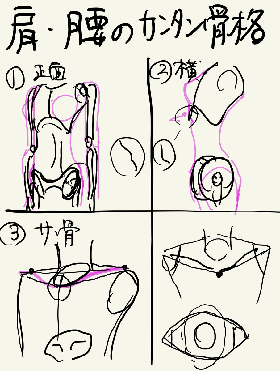 人体は複雑すぎるので描いて覚えてください!!
単純化、素体、筋肉骨格、諸々ありますが理屈はあくまで覚える手がかりにしかなりません。
人体一つ覚えるのに辞書一冊覚えるような感覚に近い。
基本的に難しすぎるので見ながら描くようにしましょう。
むしろ人体を描けたら、絵で一生食って行ける!! 