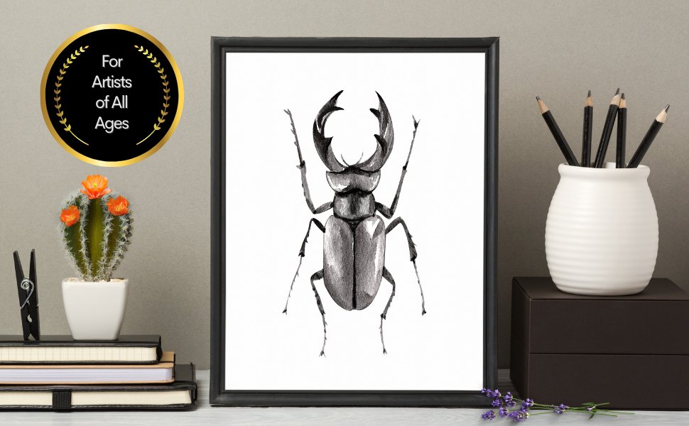 Draw 90+ Amazing Extraordinary Insects
ORDER TODAY: bit.ly/3IpIdhw

#insects #insectsworld #realisticdrawing #pencilsketch #giftforkids