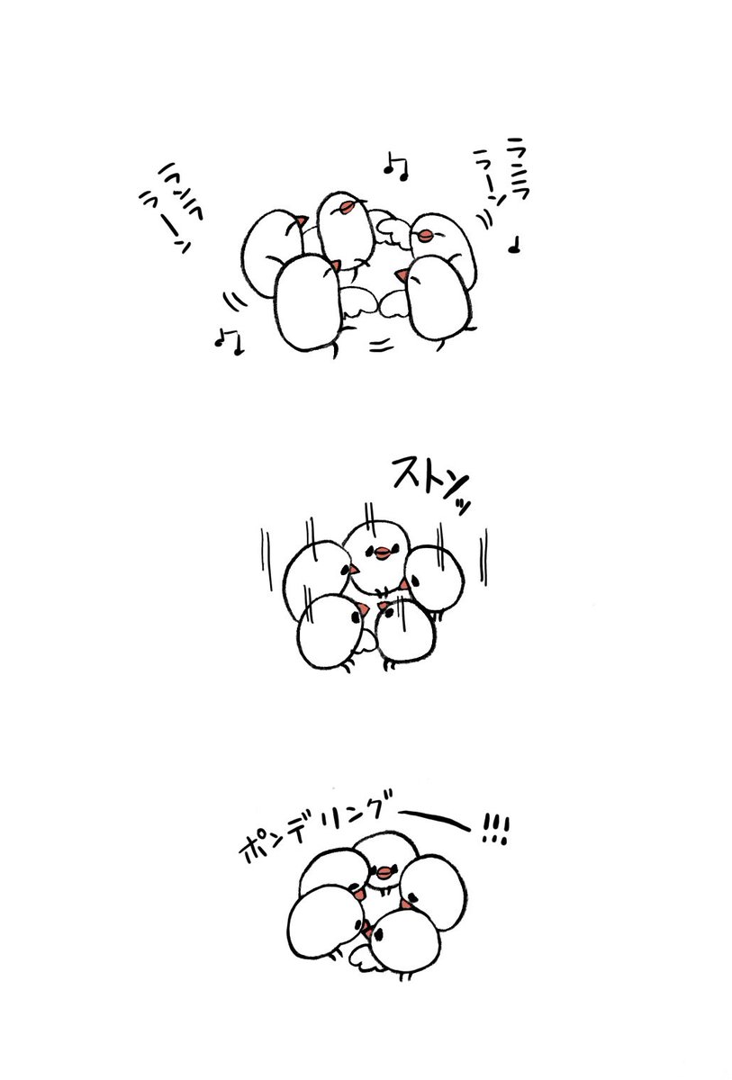 団体演技ポンデリング 