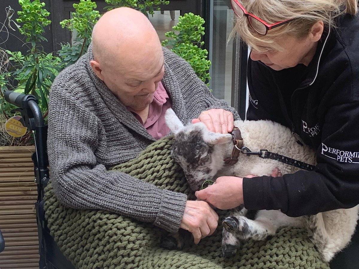 Residents at Chestnut Manor Care Home were ewe-phoric to meet and cuddle adorable new-born Easter lamb at their fantastic Easter event on Monday 25th March. 🐑 Read more> bit.ly/4abUUJ4 #westgatehealthcare #chestnutmanorcarehome #easter #communityengagement #wanstead