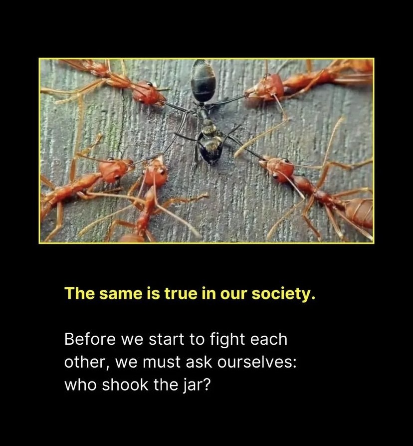 GJl10oTakAApLcp?format=jpg&name=900x900