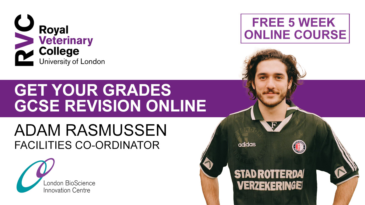 🔬 Get Your Grades for GCSE 📅 Today 4pm - 5pm online The final session of our free revision programme for Key Stage 4 students will focus on Science Success with Adam Rasmussen from @LBICLondon ➡️ Join live or access all of the previous recordings at: rvc.uk.com/get-your-grade…