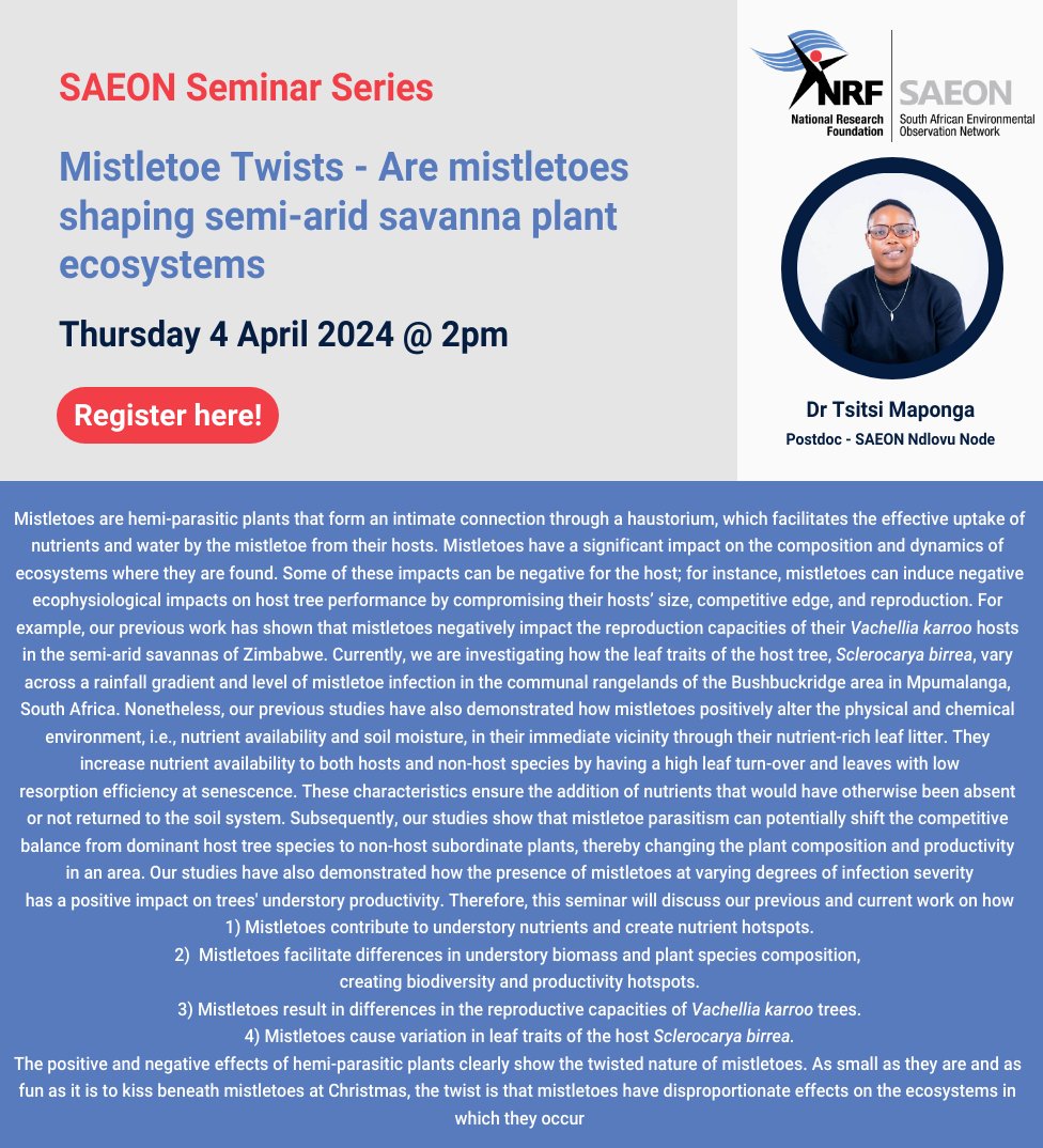 Join us for the NRF-SAEON seminar 4th of April to gain insights on, 'Are mistletoes shaping the semi-arid savanna plant ecosystems?' with Dr. Tsitsi Maponga by registering using the link below: forms.gle/nGY5uAKyghFPmJ… @NRF_News @DSI @SAEON_GSN
