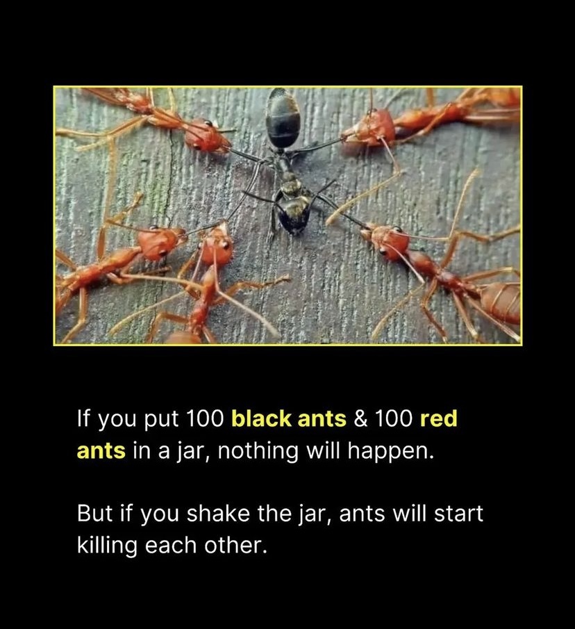 GJl1ygYacAA10_g?format=jpg&name=medium