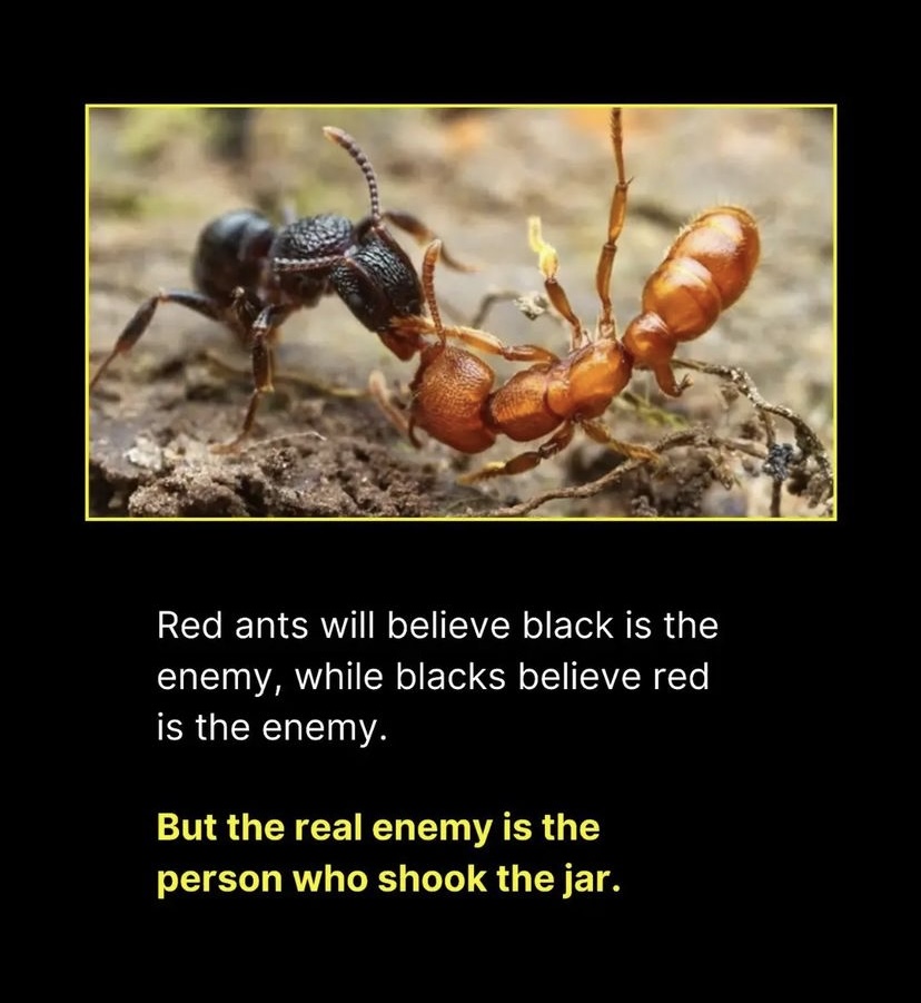 GJl1zkcboAA-D9N?format=jpg&name=medium