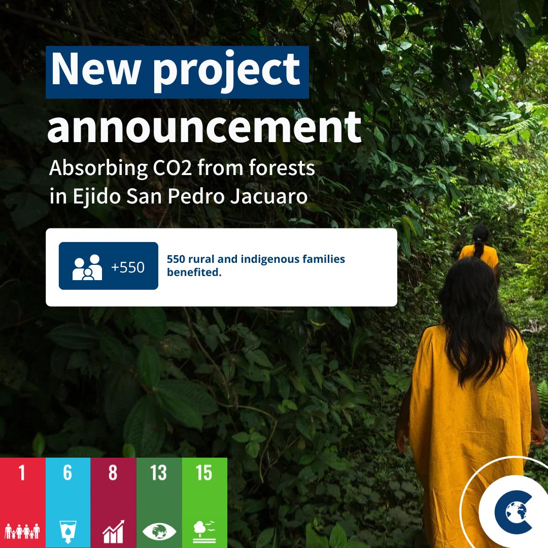 Join us on a journey of impact! This project contributes to the conservation, sustainable management, protection and restoration of forests. This improves and protects the habitat and contributes to conserving biodiversity. ➡️ market.climatetrade.com/projects/fores… #SDG15
