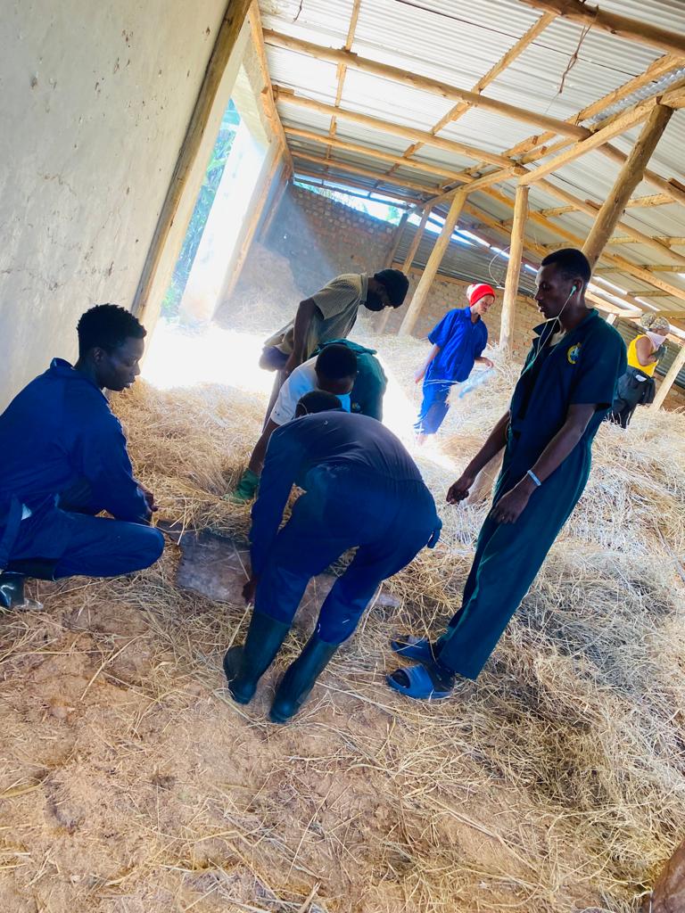 blbcovab's tweet photo. Students baling hay https://t.co/077StsEHky