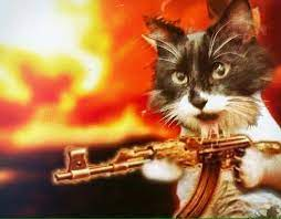 CatWifGunOnSOL's tweet photo. I am the general of the cat army wif guns.

Don't make me order them to find you.

Buy now

https://t.co/coWz6b9NsA

or ... https://t.co/UGQYfsAU4X