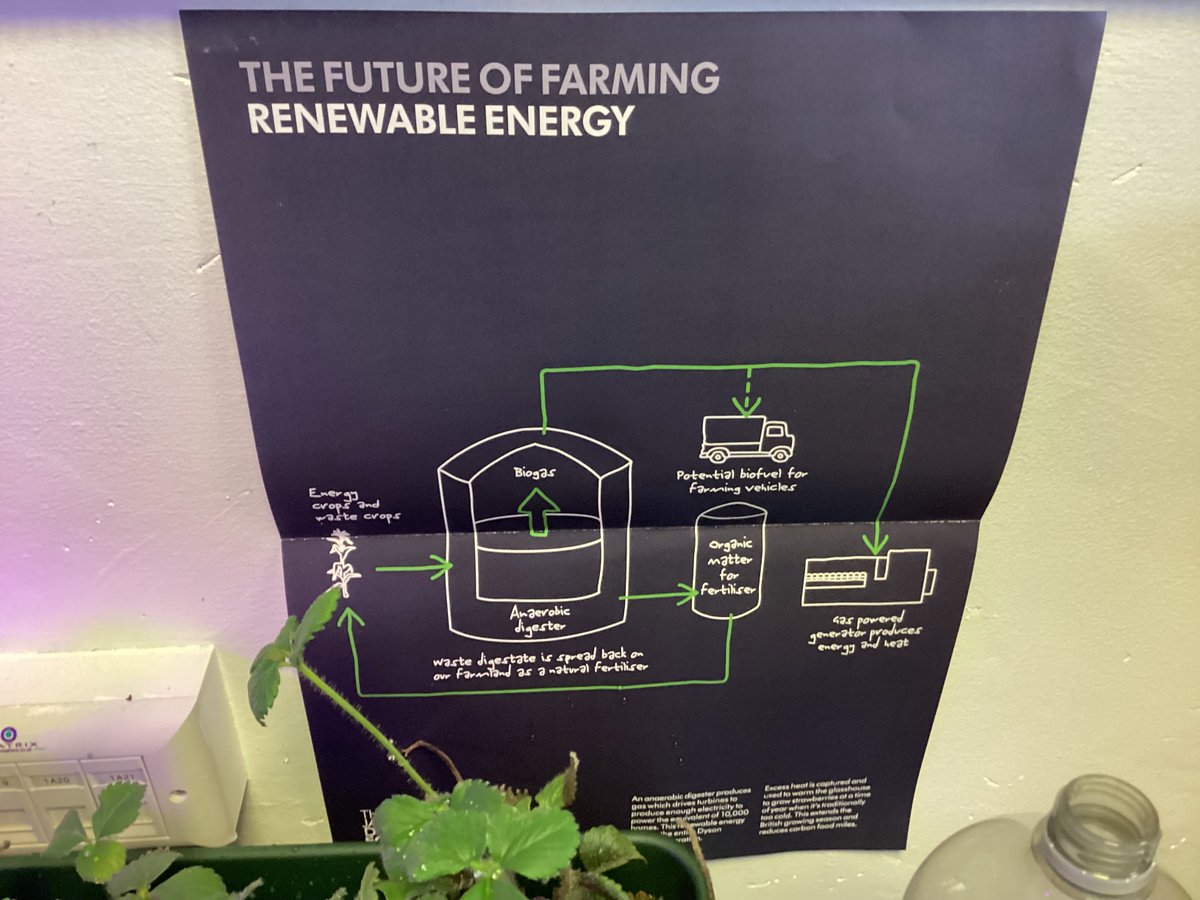 Amethyst class Welbourn tweet media