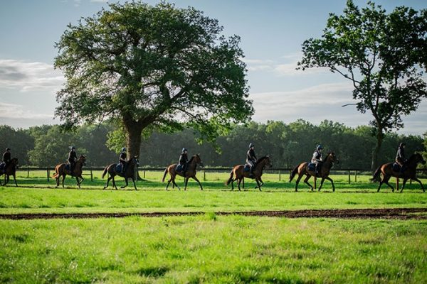 Dinner for two at The Queens Arms in East Garston with Harry Derham & Oliver Sherwood, followed by a morning on the gallops with Harry and Oliver the next day! lambournopenday.com/product/dinner…