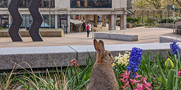 If you’re working on campus, help us reduce the University’s energy use and carbon footprint during the Easter shutdown (28 March to 2 April inclusive) by turning off computers, photocopiers, empty fridges and other electrical equipment, where this can safely be done. 👍