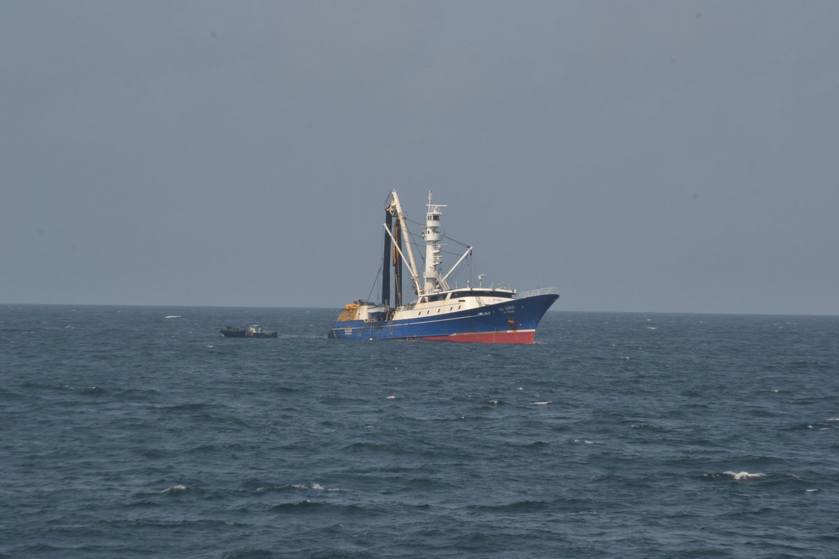 MSC Pêche Durable tweet media