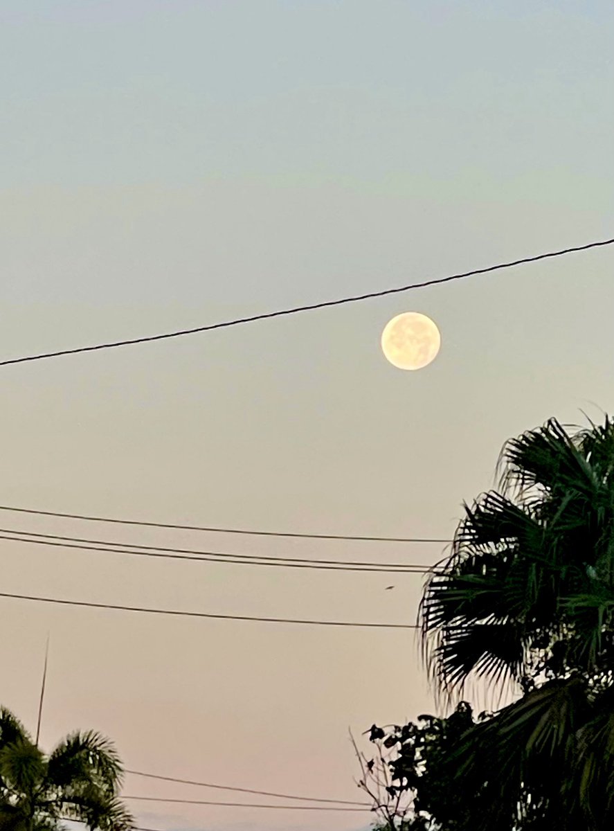 My early morning today. #mymoon #mysky #treeday #thicktrunktuesday #nature #mypics #happy🏃‍♀️