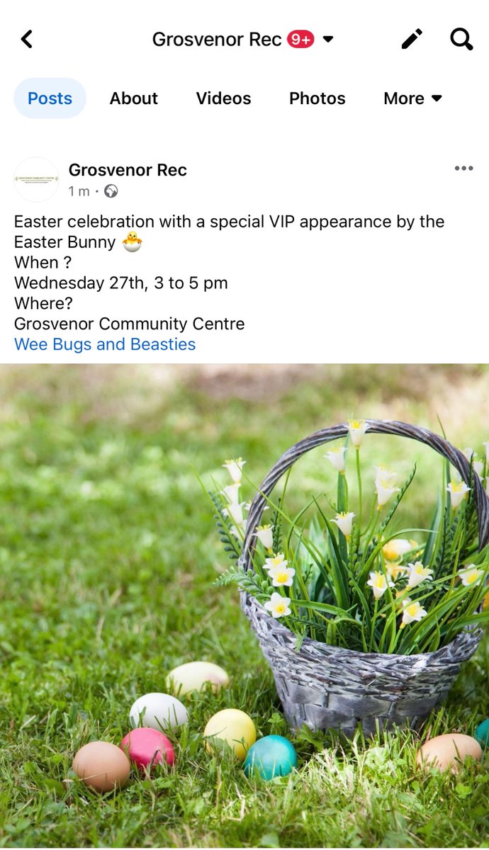 Getting ready for a special visitor & happy times tomorrow 👇👇👇 #Easter #SpringTimes @belfastcc