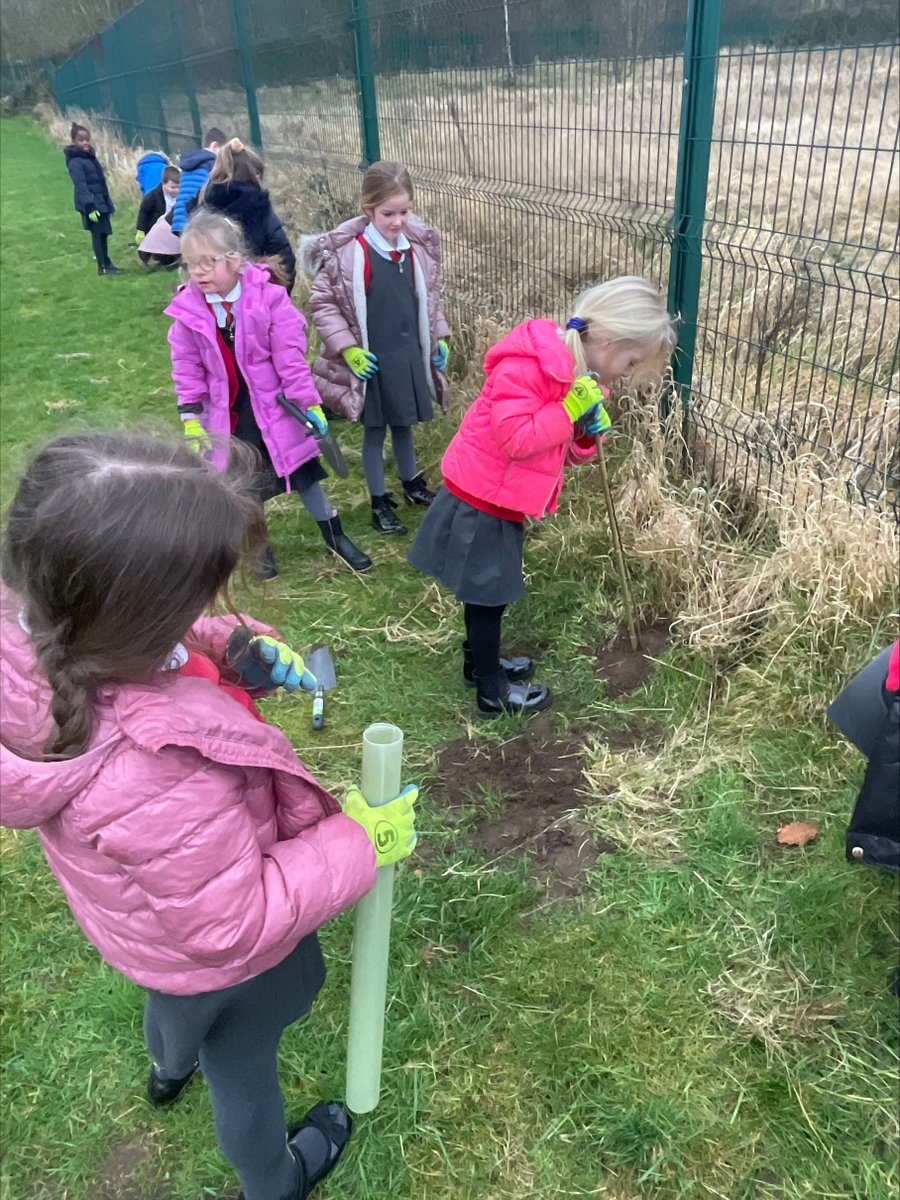 Thank you so much #IDigTrees  The children have been busy planting and improving our environment for the whole community and for the wildlife.