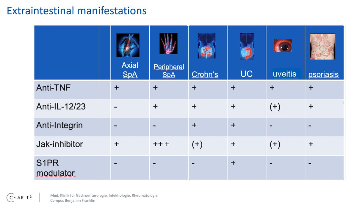 @IBD_FloMD @SaraElOualiMD @CharlieMuz @IBD_GorenMD @KatieFalloonMD @AsadurRahman87 @PeakNatapatMD @UmaMahadevanIBD @SandraQuezadaMD @Jonathansegal85 @KaazanPatricia @gastrodocmattar @z_bakhshiii @ShimaghavimiMD @RuneWilkens @PriSantiagoMD @PDulaiMD @P_DeepakIBDMD @nloganmd @MN_GIMD @ManasiAgrawalMD @KrugCleveland @KDeFelice_IBD @JPAchkarMD @JChristieMD @IBDMD @IBDimmunology @ibdgijami @IBD_DrEMF @EdithHoMD @dunleavy_katie @drsusankais @DrSamirAShah1 @DrMikeDolinger @drlorengrover @drlauriekeefer @drdani23 @amelia_kellar @AdvaniRashmiMD @AdamEhrlichMD @VictorChedidMD @Cindytraboulsi @JuneTomeMD @DarrellPardi @Badr_AlBawardy @OmarMTag @IBDJournals @alimentiv @AnikaParad @JeanFredericCo1 Where are we best suited for combo therapy now? #ExtraIntestinal Manifestations and co-morbidities: double indications for dual therapies More data incoming, stay tuned..