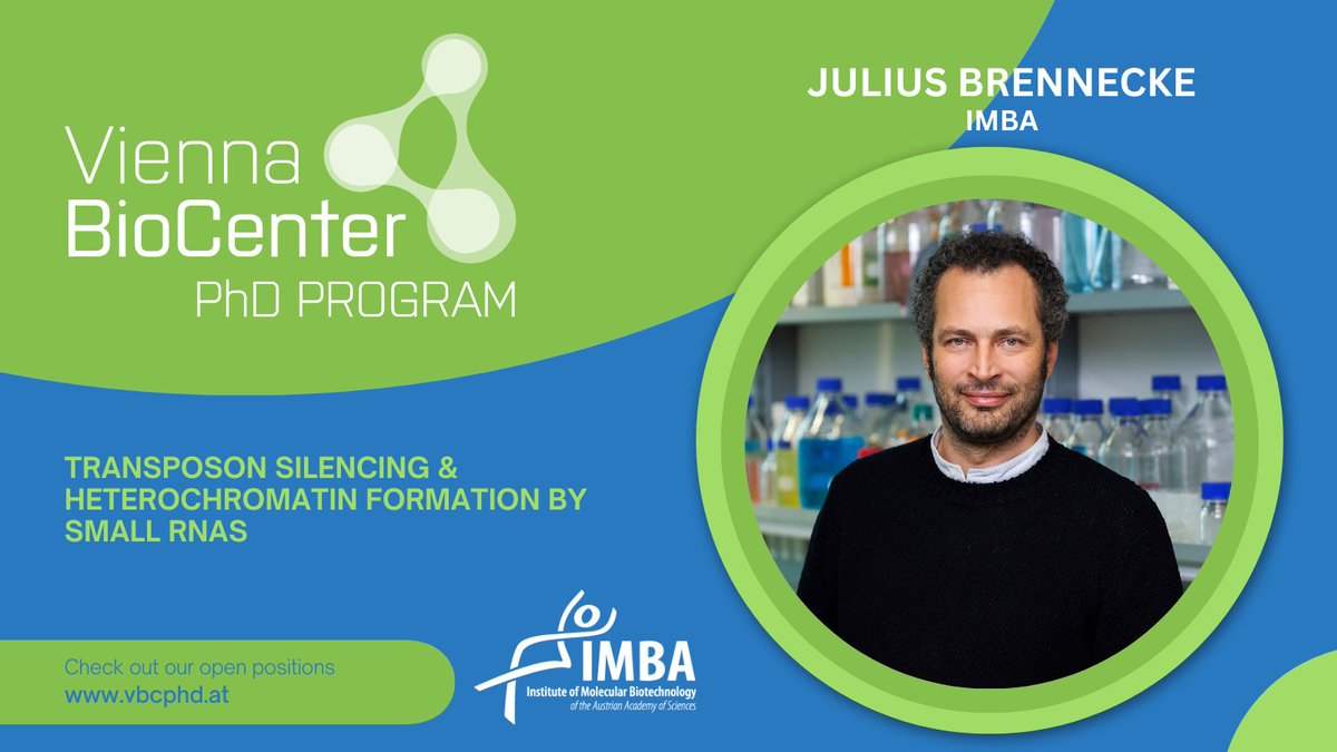 Interested in gene regulation and RNA? Join the lab of Julius Brennecke as a PhD student! The @juliusbrennecke lab is offering a position as part of the #PhD Program Spring Call. Apply by April 15 bit.ly/vbcphdapps. #europe