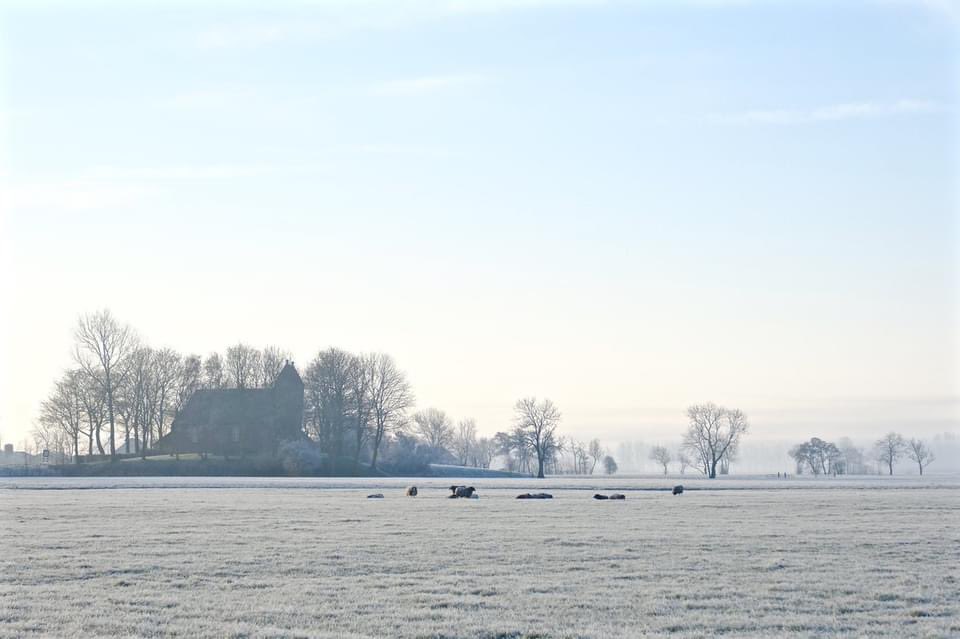 Mooigrunnen® tweet media