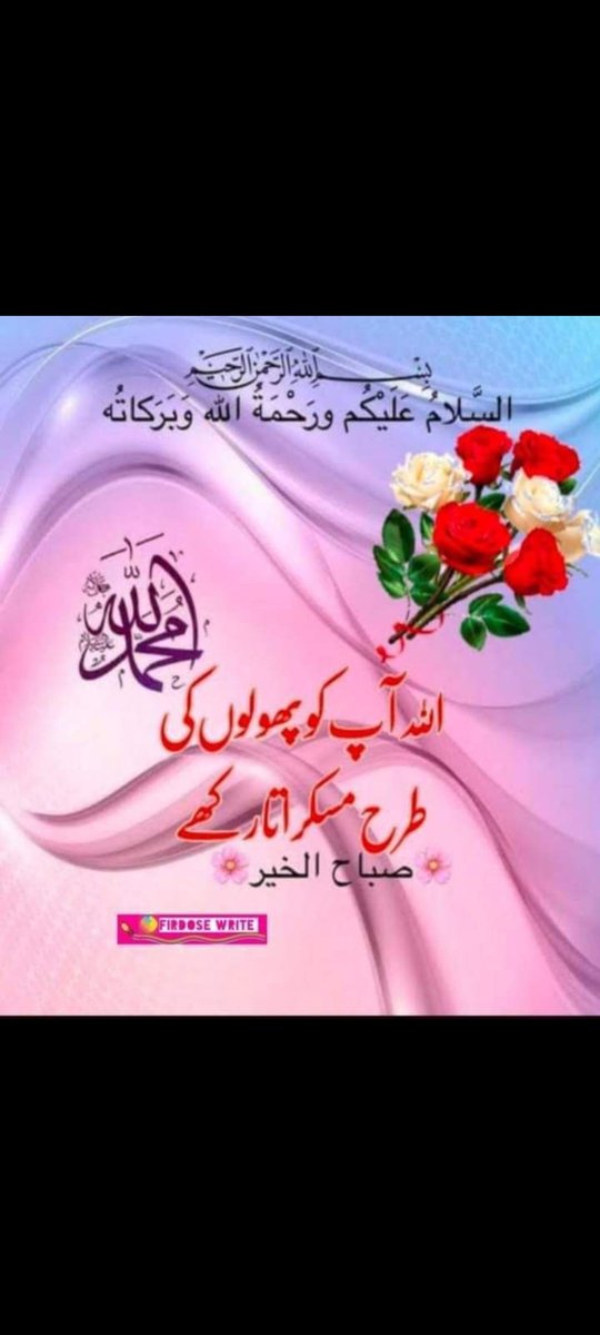 dmsa786's tweet image. 🤍Assalamualaikum🤍
Subah bakhair X family 😅