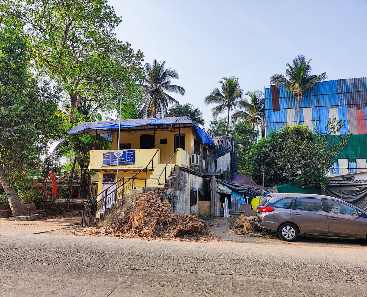 Sonalathnikar's tweet photo. Finally so-called Development won. Destroyed the beautiful twin Baobab Tree outside Malwani Police Chowky, Malad-Marve Road. Thank you @mybmc.  Will never forgive you for this. #Baobab #TreesofMumbai https://t.co/4qPuV0eAJn